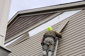 Best Fascia and Soffit Installation  in Colfax, CA